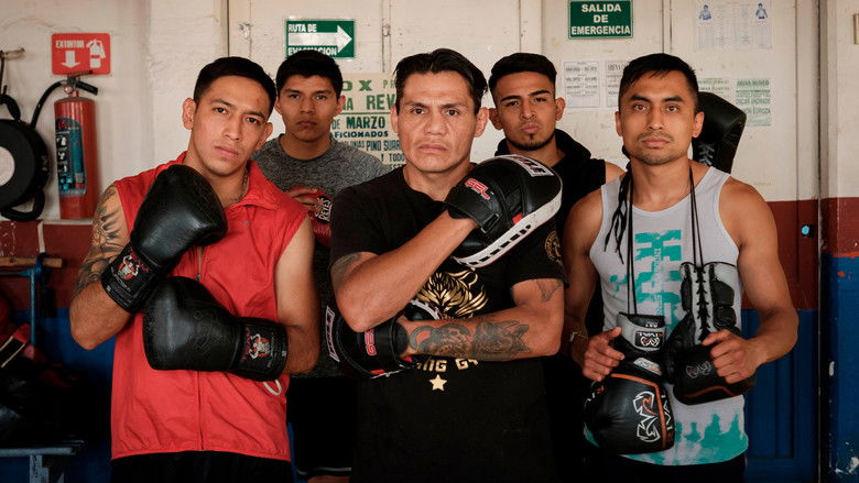 Backdrop image for movie El Grillo