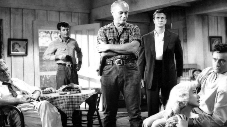 Backdrop image for movie Hot Summer Night