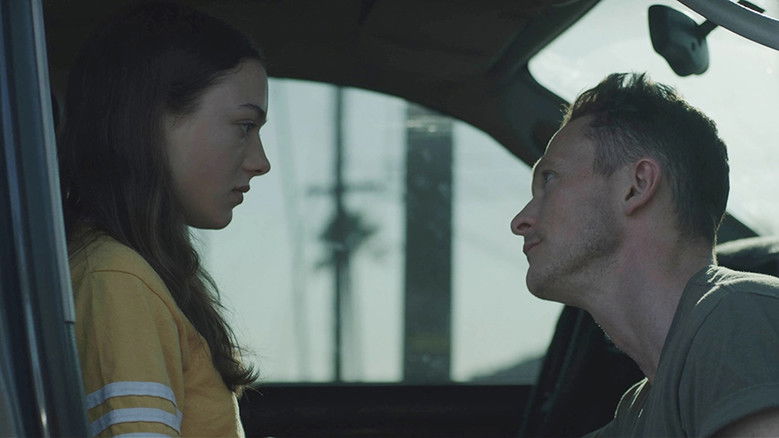 Backdrop image for movie Palm Trees and Power Lines