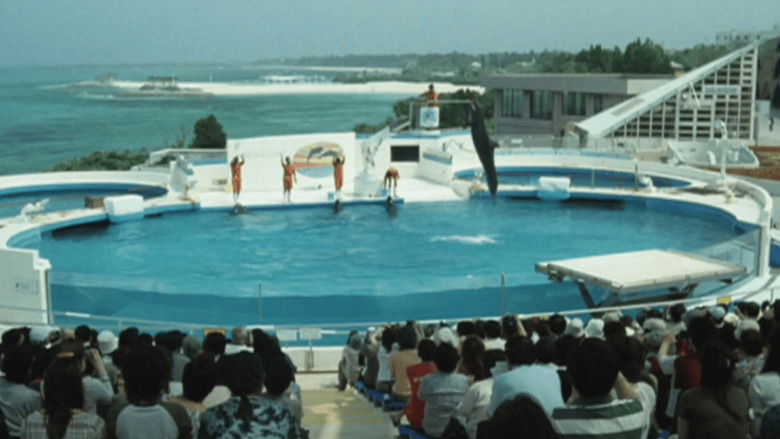 Backdrop image for movie Dolphin Blue: Soar Again, Fuji