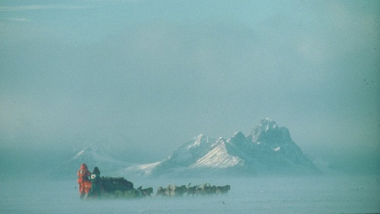 Backdrop image for movie Au Sud du Sud