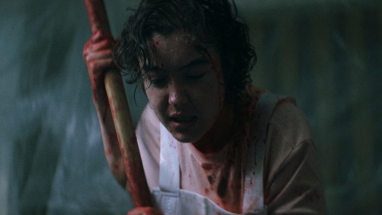 Backdrop image for movie The Classmate