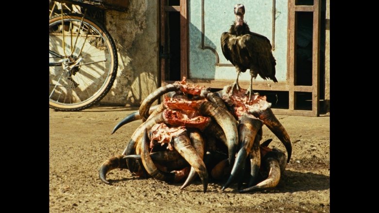 Backdrop image for movie Amilcar, The African utopia maker