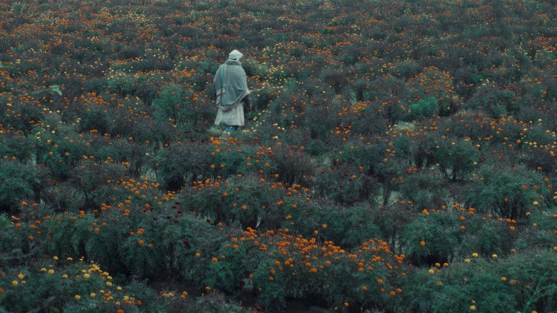 Backdrop image for movie The Calf Doll