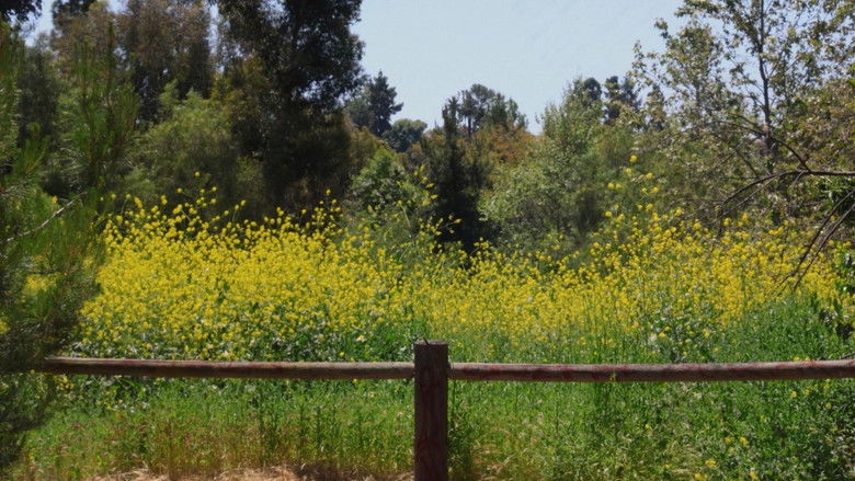Backdrop image for movie I Wandered Lonely as a Cloud