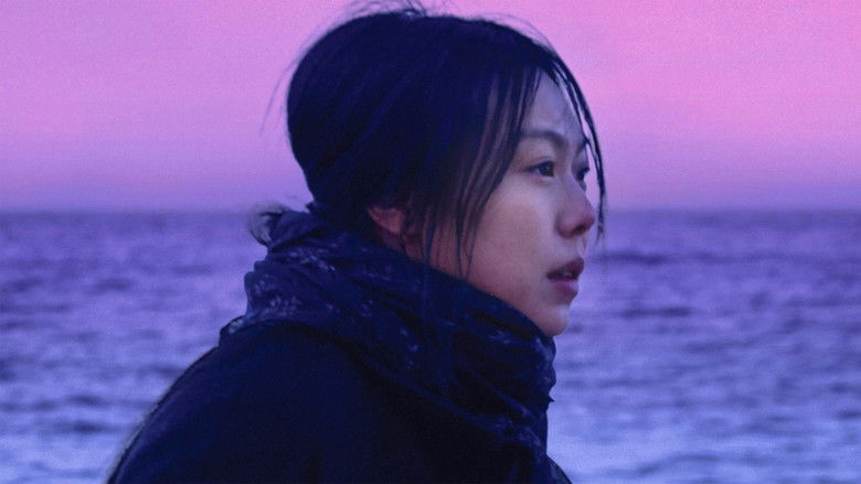 Backdrop image for movie On the Beach at Night Alone