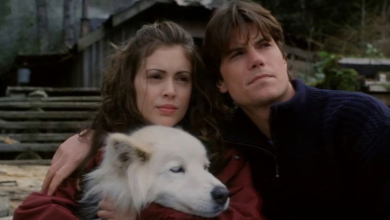 Backdrop image for movie To Brave Alaska