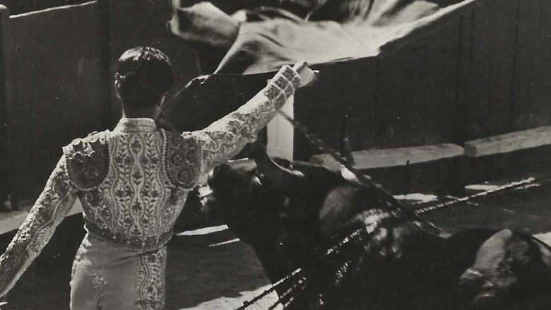 Backdrop image for movie Corrida Interdite