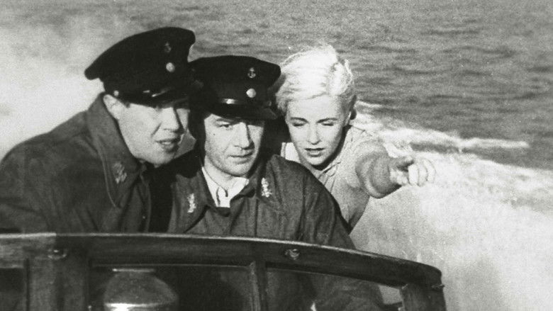 Backdrop image for movie VMV 6