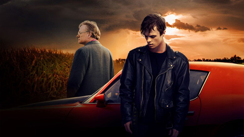 Backdrop image for movie Brave the Dark