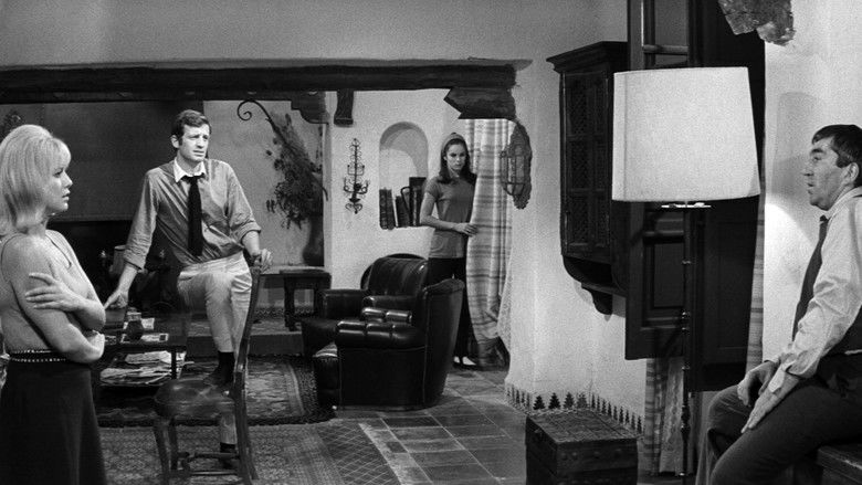 Backdrop image for movie Crime on a Summer Morning