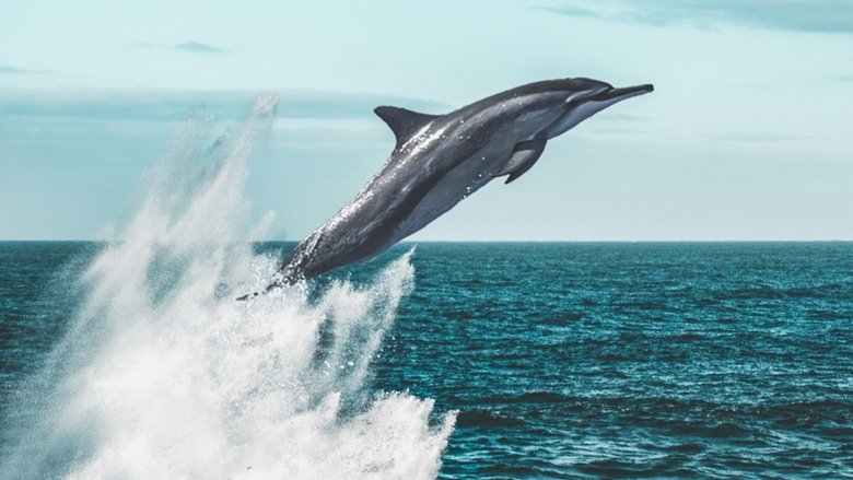 Backdrop image for movie Living Waters