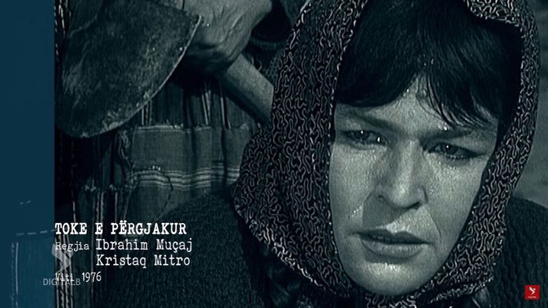 Backdrop image for movie Bloody Land