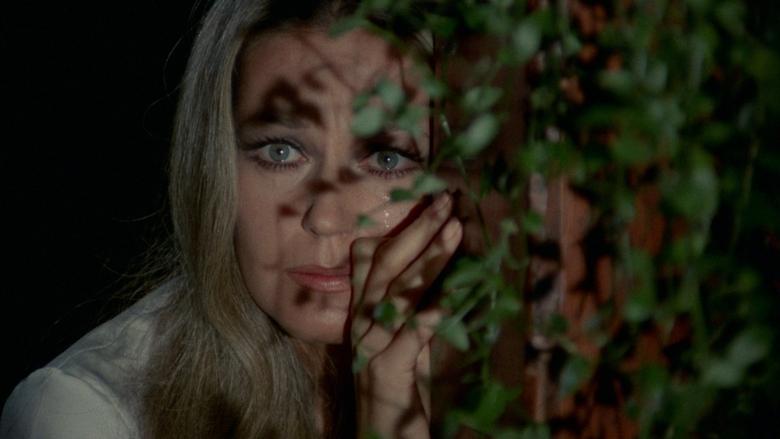 Backdrop image for movie In the Eye of the Hurricane