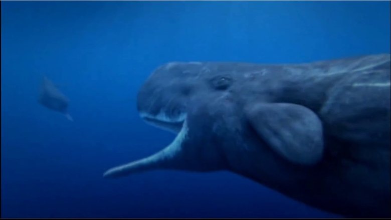 Backdrop image for movie Ocean Odyssey