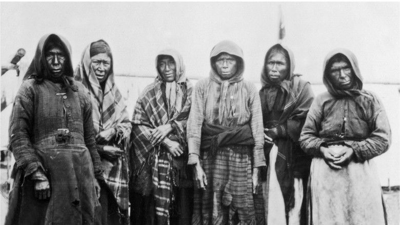 Backdrop image for movie The Invisible Nation