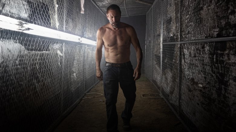 Backdrop image for movie Rumble Through the Dark