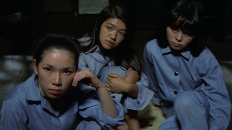 Backdrop image for movie True Story of a Woman in Jail: Continues