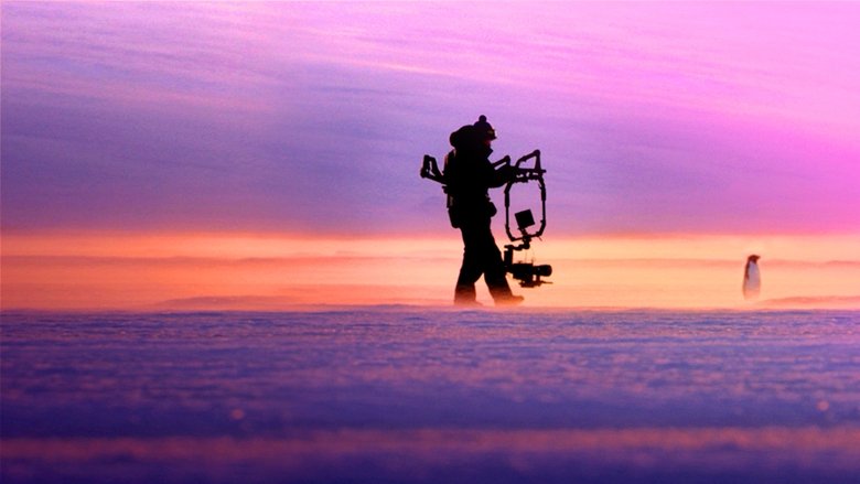 Backdrop image for movie Penguins: Life on the Edge