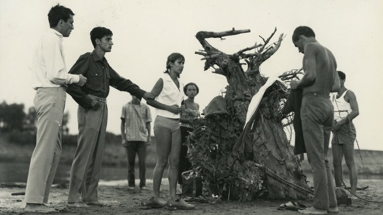 Backdrop image for movie Current