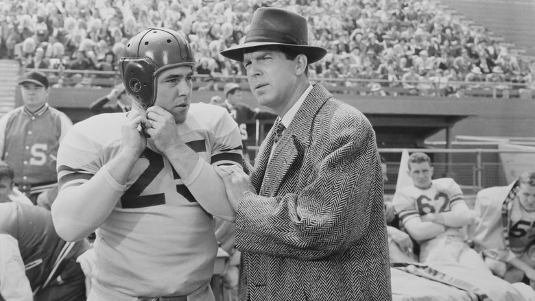 Backdrop image for movie Father Was a Fullback