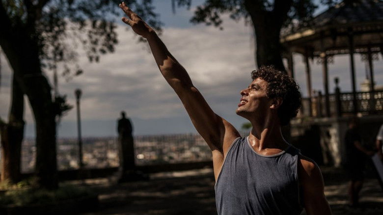 Backdrop image for movie A Wolf Among the Swans