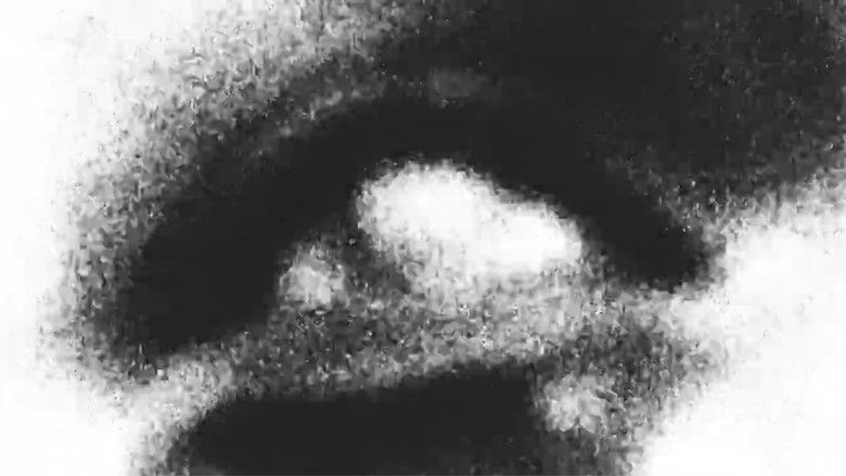 Backdrop image for movie Sungazer