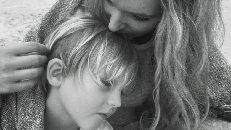 Backdrop image for movie Misplaced