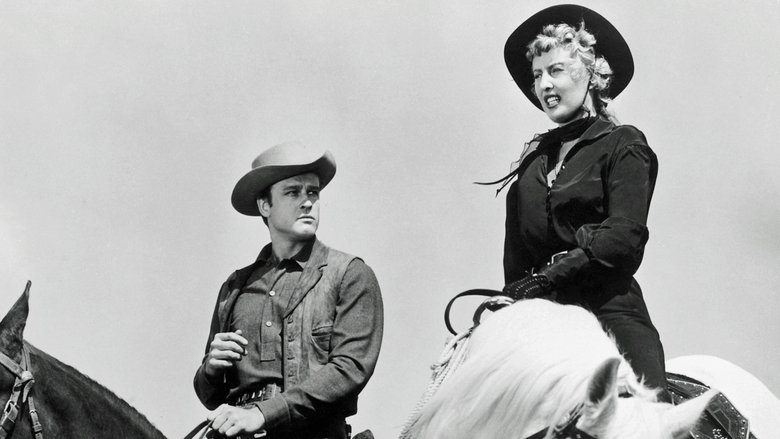 Backdrop image for movie Forty Guns