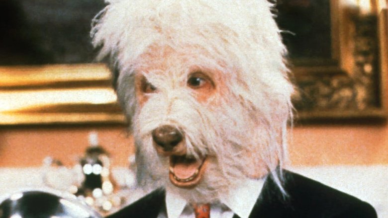 Backdrop image for movie The Return of the Shaggy Dog