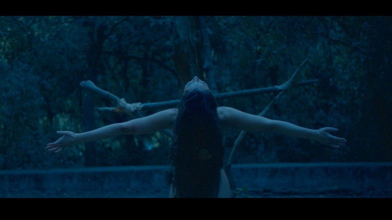 Backdrop image for movie Génesis