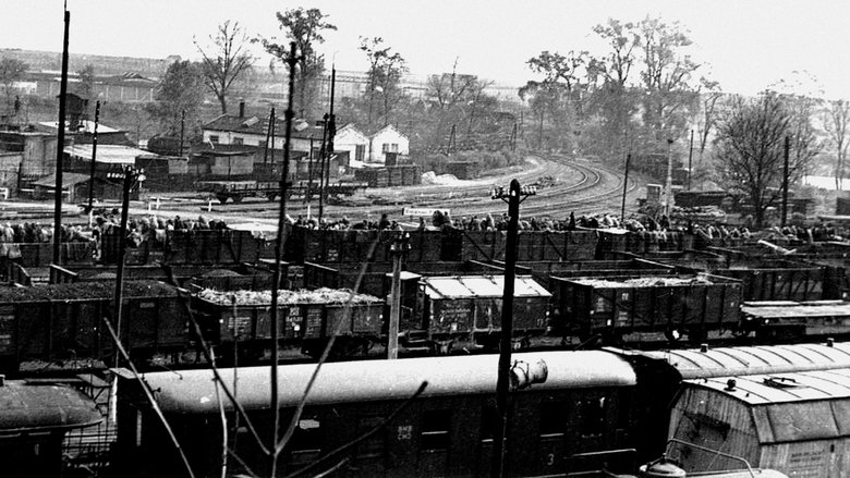 Backdrop image for movie Nazi Death Marches