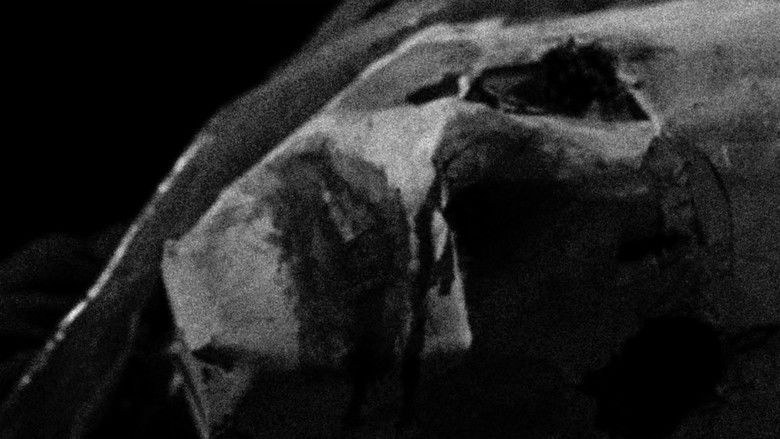 Backdrop image for movie Atrocity Exhibition