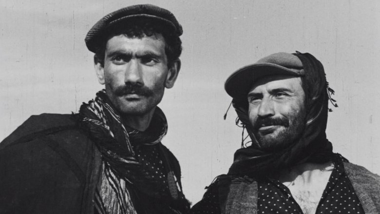 Backdrop image for movie Law of the Border