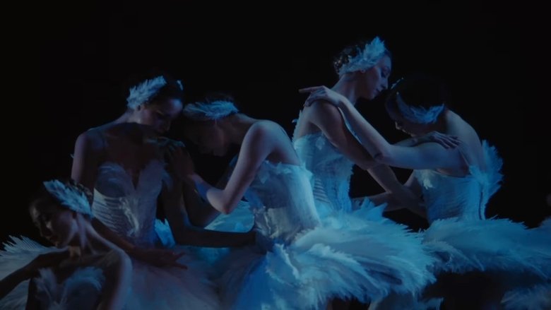Backdrop image for movie Swan Song