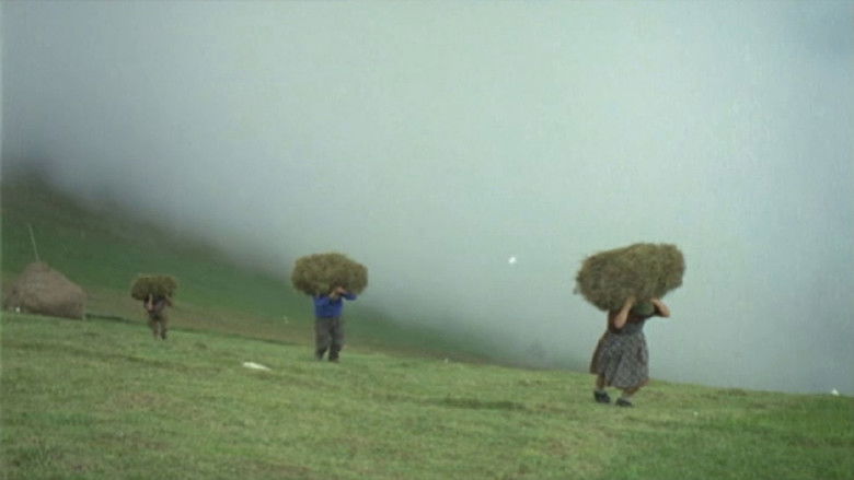 Backdrop image for movie La montagna del sole