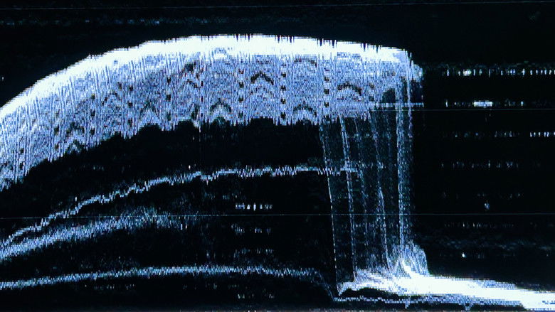 Backdrop image for movie Backrooms