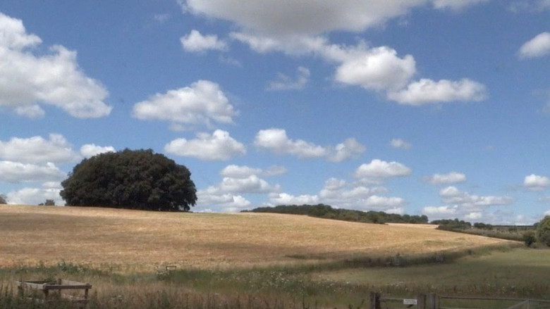 Backdrop image for movie Seven Days To Sidmouth