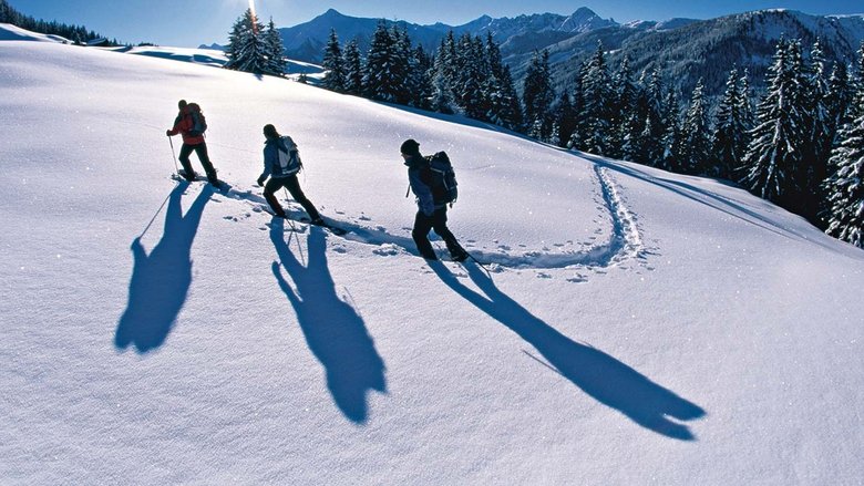 Backdrop image for movie Winter Essentials