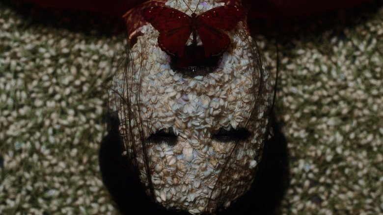 Backdrop image for movie The Butterfly House