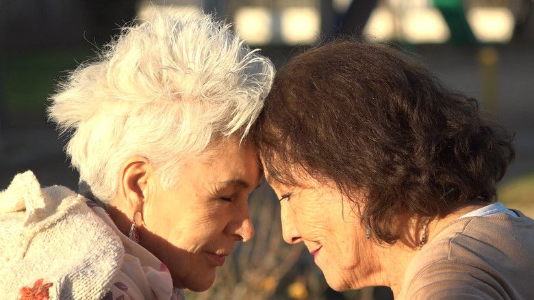 Backdrop image for movie Margaritas en otoño