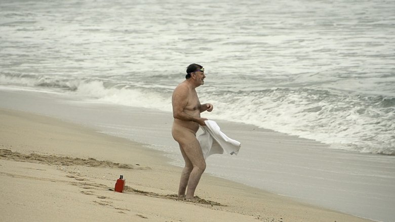 Backdrop image for movie European Man...American Beach