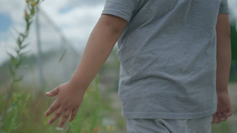 Backdrop image for movie Ni Wapiten