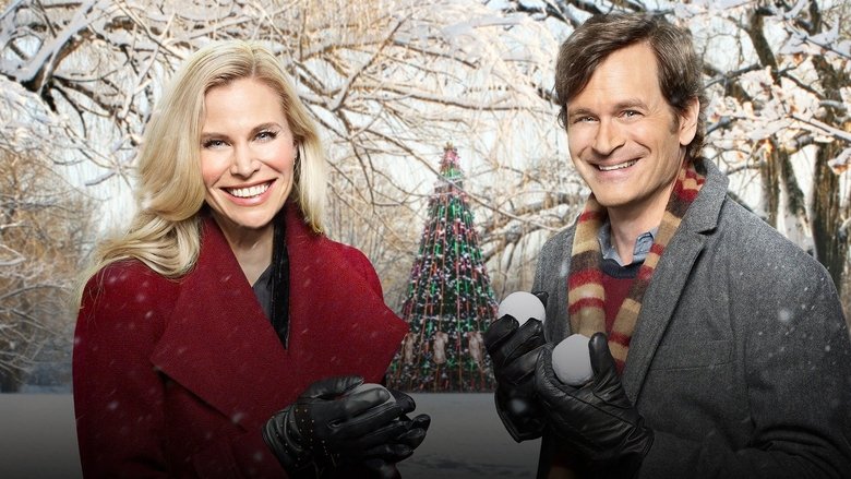 Backdrop image for movie Christmas Connection