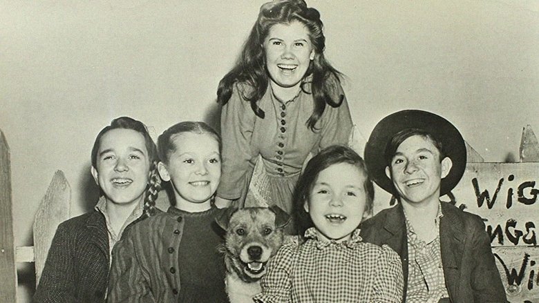 Backdrop image for movie Mrs. Wiggs of the Cabbage Patch