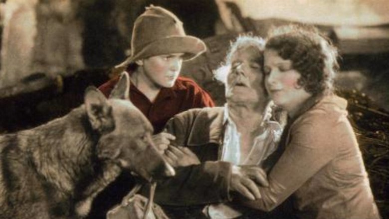 Backdrop image for movie The Call of the Heart