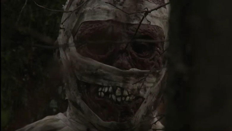 Backdrop image for movie Evil Exhumed