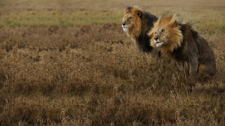 Backdrop image for movie Lion Gangland