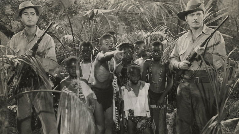 Backdrop image for movie Zamba