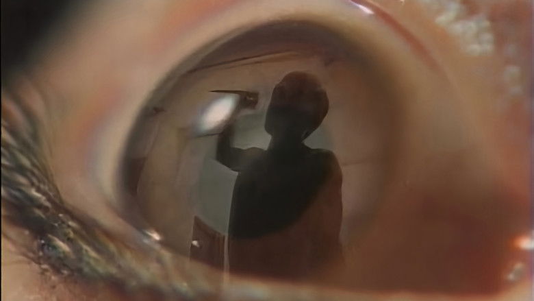 Backdrop image for movie Lustful Revenge